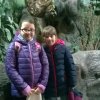 zoo 7